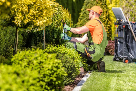 Premium Garden Maintenance Subscription