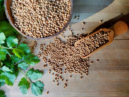Celery Seeds (بذور كرفس) - Shatla Sky