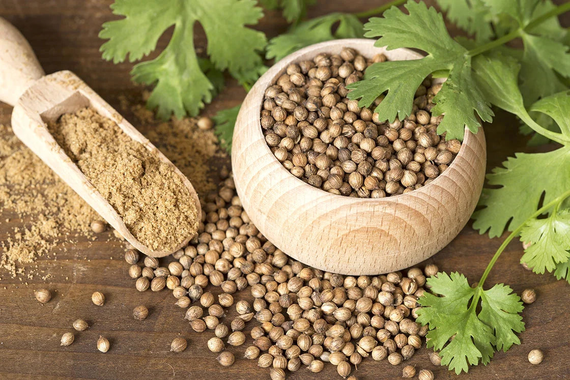 Coriander Seeds (بذور كسبرة) - Shatla Sky