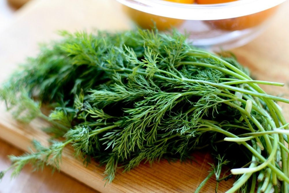 Dill Seeds (بذور شبت) - Shatla Sky
