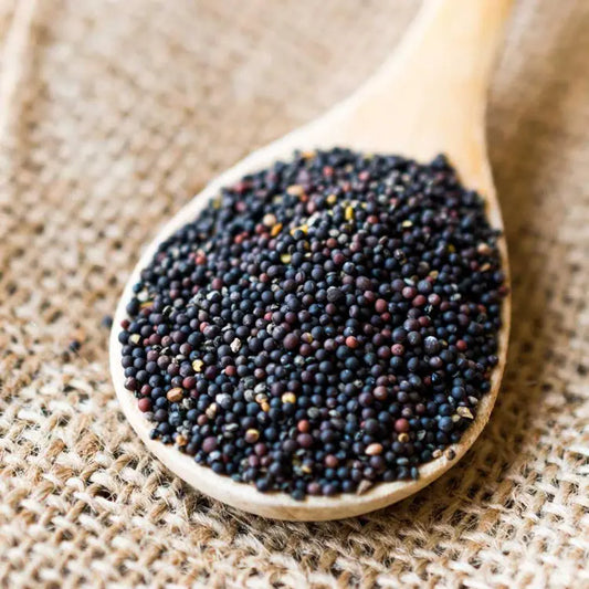 Eruca Seeds (بذور جرجير) - Shatla Sky