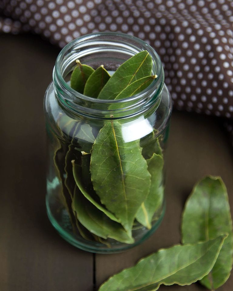 Laura leaf bay (ورق لورا)