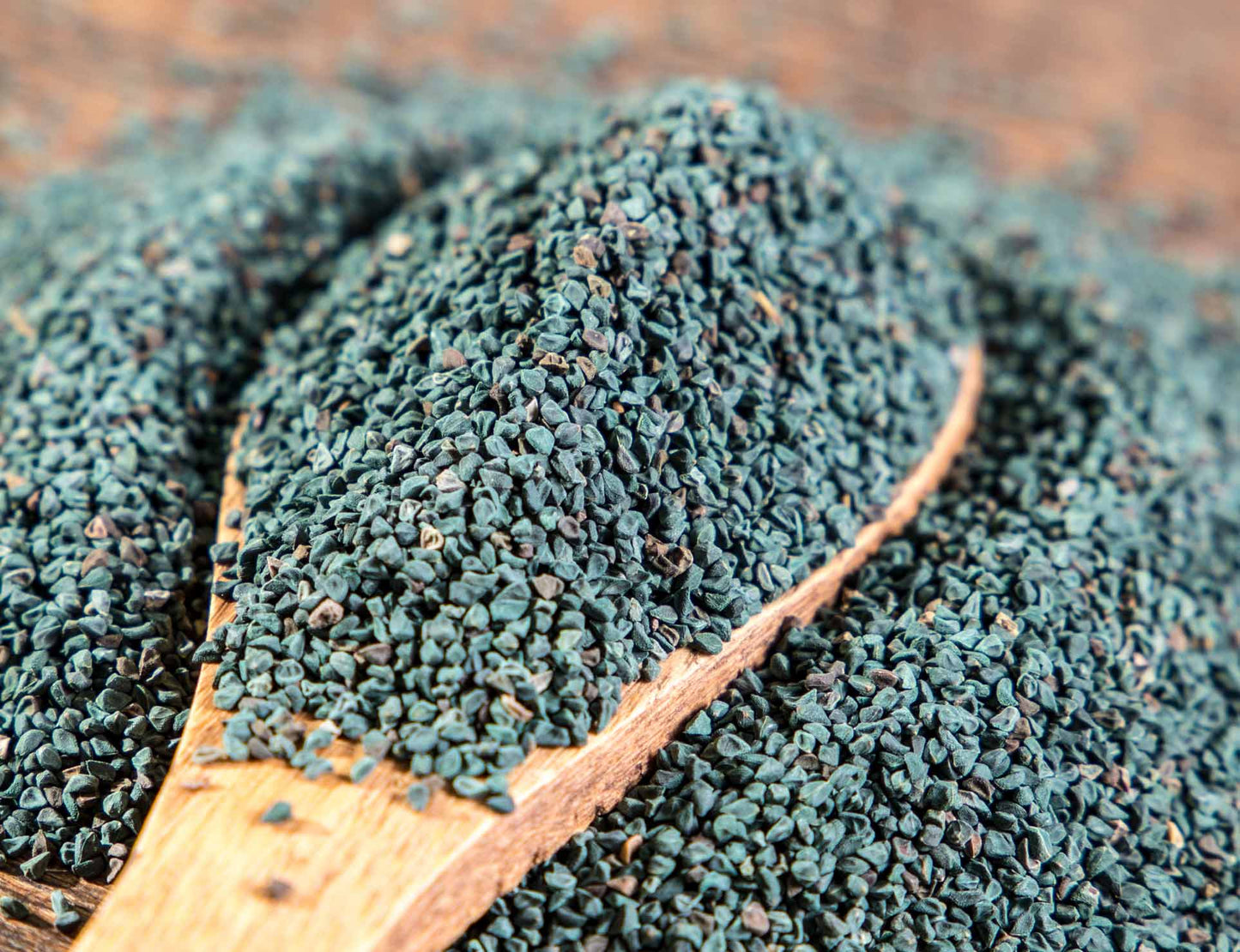 Corchorus olitorius Seeds (بذور ملوخية)