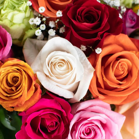 Rose (ورد بلدي) - Shatla Sky