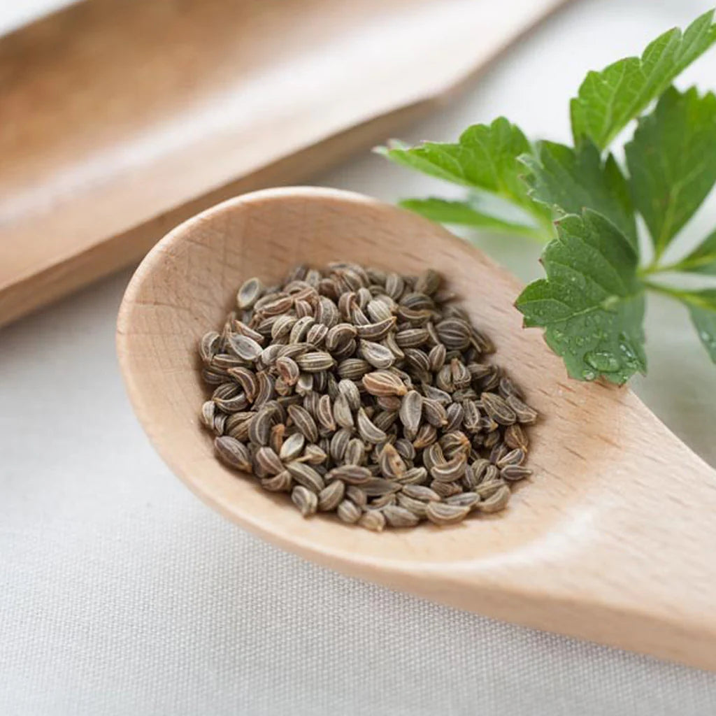 Parsley Seeds (بذور بقدونس) - Shatla Sky