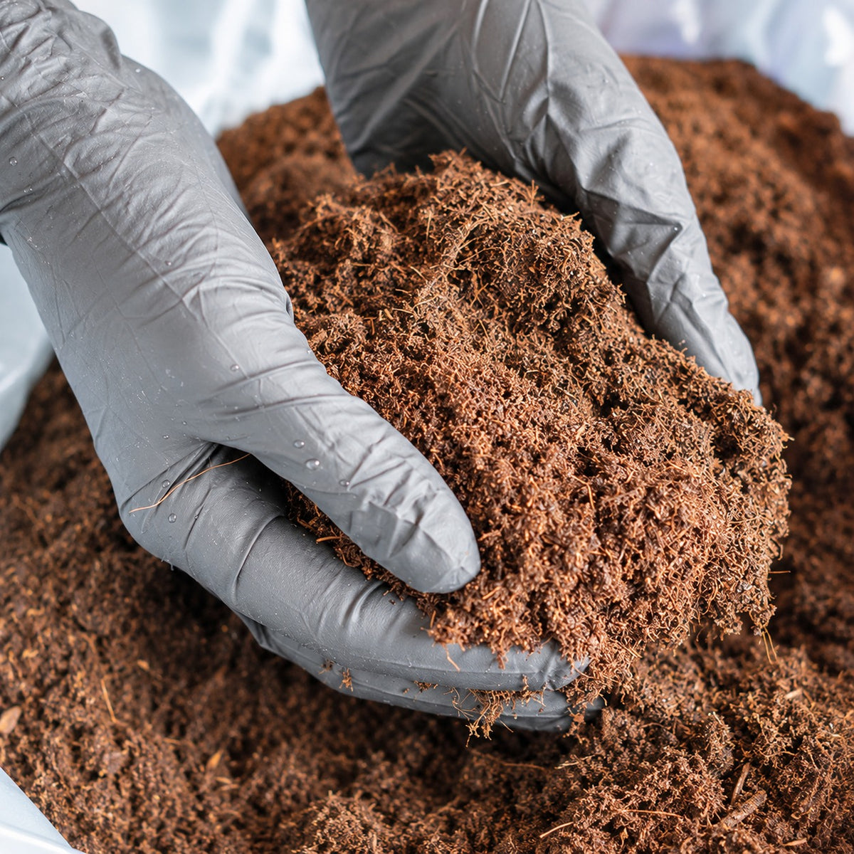 Peat Moss (عبوة بيتموس) - Shatla Sky