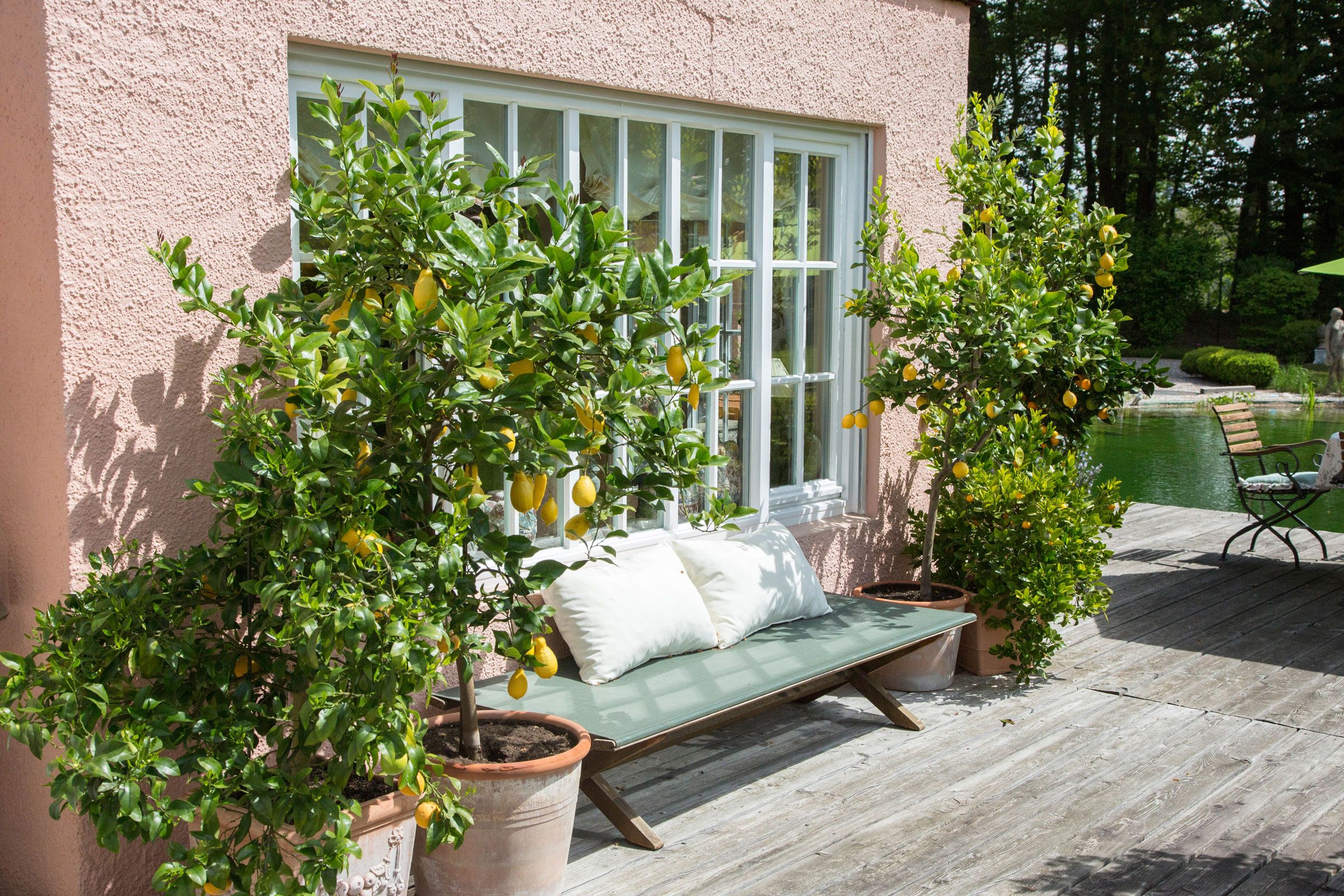 Shatla Sky | Agricultural Solutions & Landscaping Services in Egypt