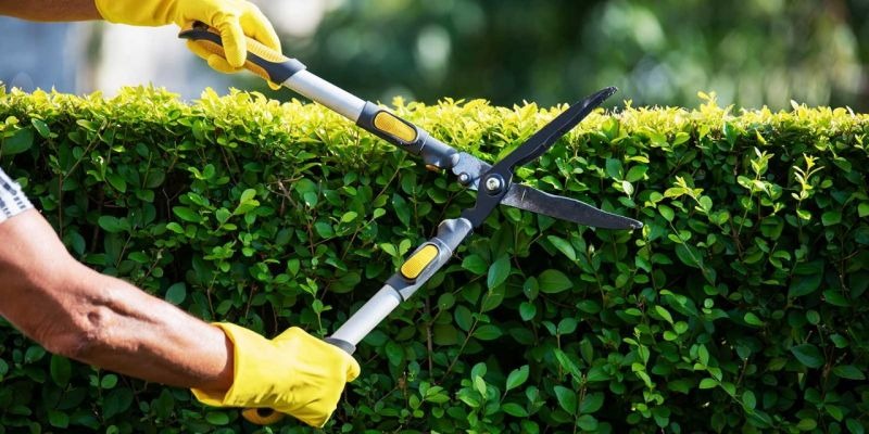 Premium Garden Maintenance Subscription