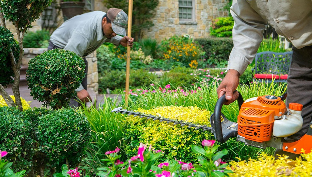 Basic Garden Maintenance Subscription
