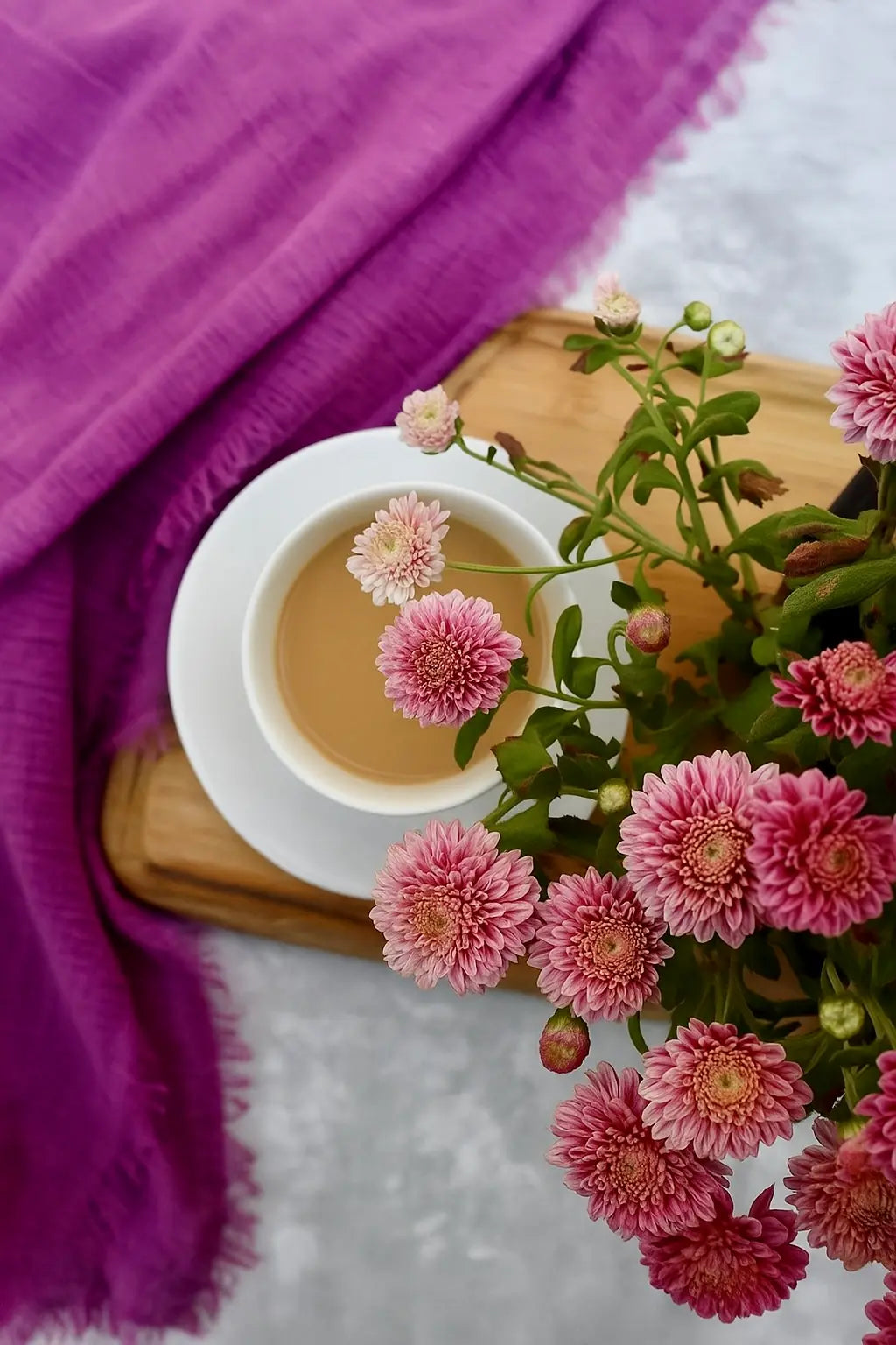 Chrysanthemum (أراولا)