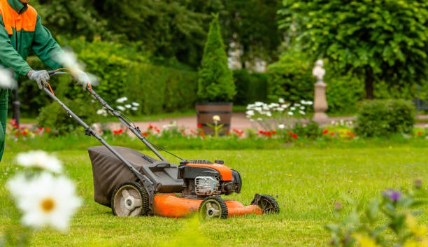 Basic Garden Maintenance Subscription