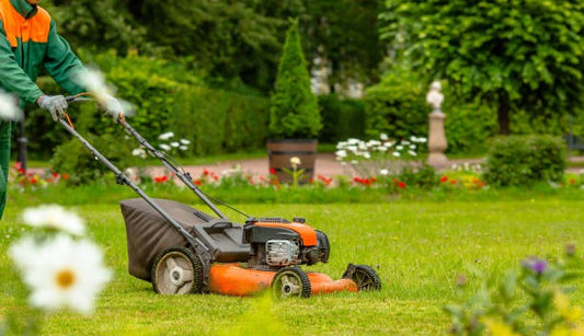 Basic Garden Maintenance Subscription
