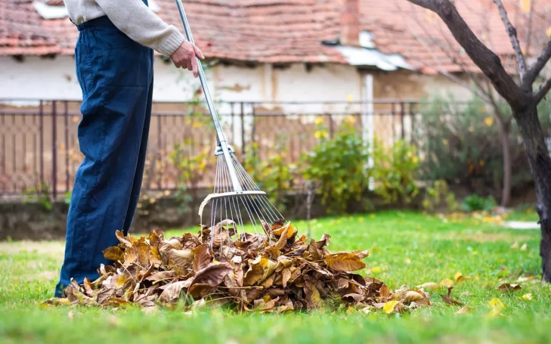 Basic Garden Maintenance Subscription