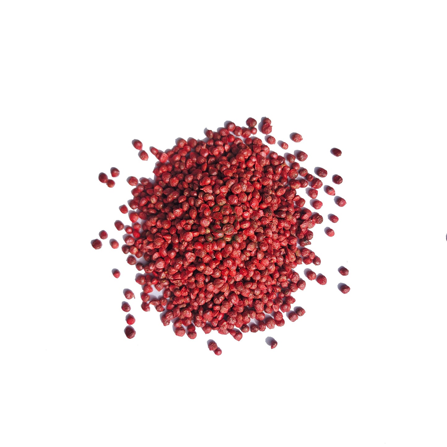 Spinach Seeds بذور سبانخ