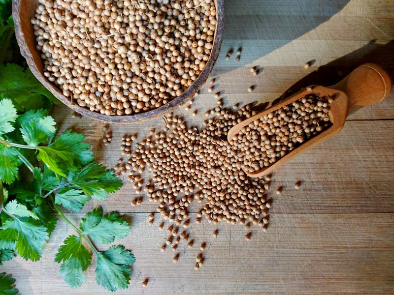 Celery Seeds (بذور كرفس)