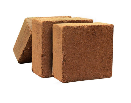 Cocopeat Soil (كوكوبيت)