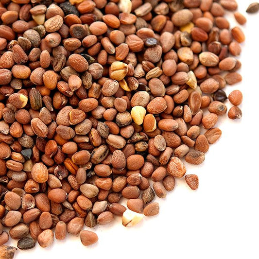 Radish Seeds (بذور فجل)