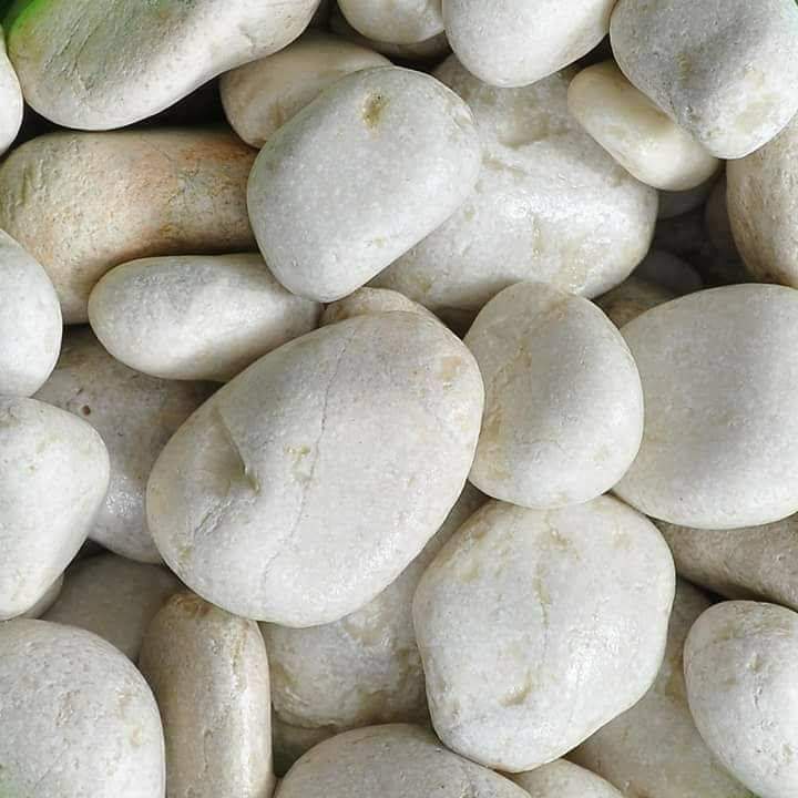 White Pebbles (ظلط أبيض)