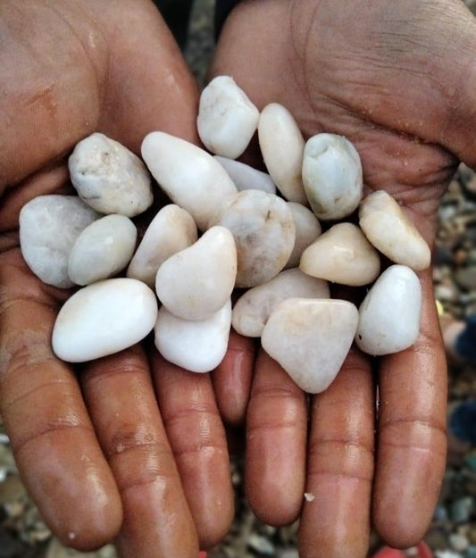 White Pebbles (ظلط أبيض)