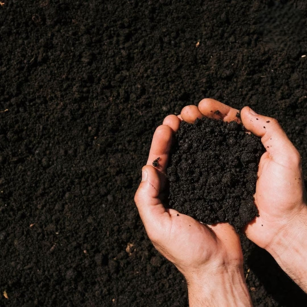 Black Soil Bag 100 Kg (تربة طينية)