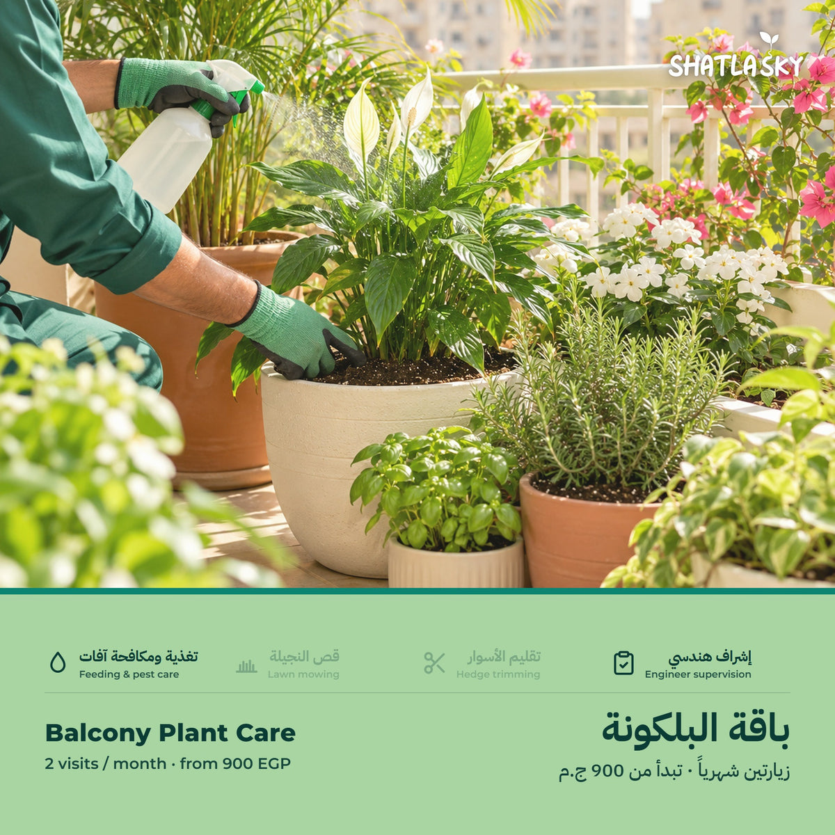 Shatla Sky Balcony Plant Care package