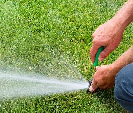 Premium Garden Maintenance Subscription