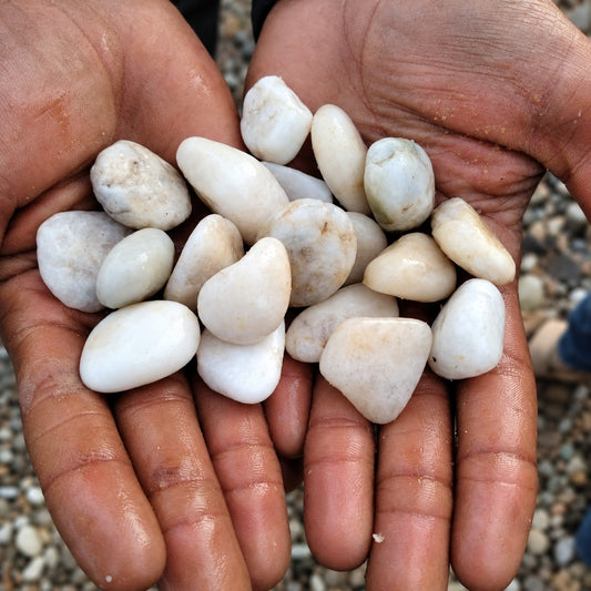 White pebbles (ظلط أبيض) decorative garden stones