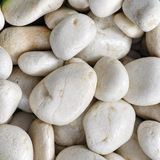 White pebbles (ظلط أبيض) decorative garden stones